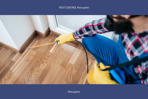 PEST CONTROL Porcupine